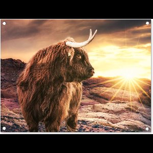 Tuinschilderij Schotse hooglander - Koe - Horizon - 80x60 cm - Tuinposter - Tuindoek - Buitenposter