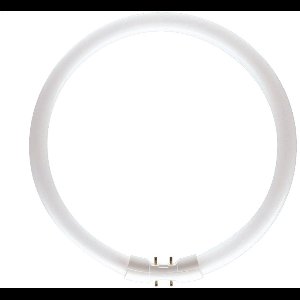 Traditionele ronde TL5 TL-buis 2GX13 40W/840 | 30.5cm | 2GX13 (4 pins) | Koel Wit | 40 watt | 12.000 Branduren