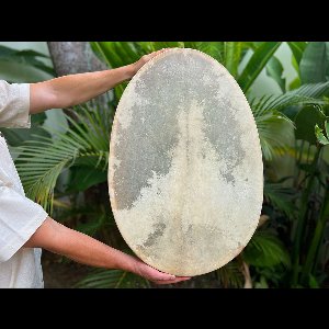 LIDAH® Sjamanendrum - 70cm Ovaal Easytune® Rawhide Sjamaanse Drum - Stembare Sjamanen Percussie Shaman - Spirituele Sjamanistische Trommel