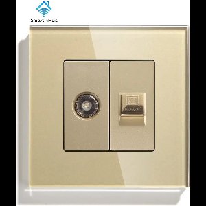 CAT 6/Coax - Combinatie - Goud