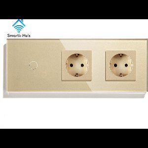 SmartinHuis - 1x1 polig (wisselschakelaar) + tweevoudig stopcontact - Goud