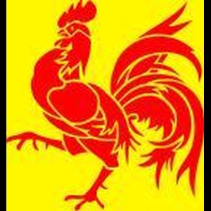 Vlag Wallonie 30x45cm