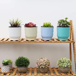 Stunq® Zelfwaterende plantenpot met lont, plastic, klein, set van 6.