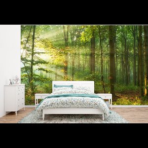 Behang - Fotobehang Zon - Bos - Bomen - Natuur - Herfst - Breedte 400 cm x hoogte 300 cm