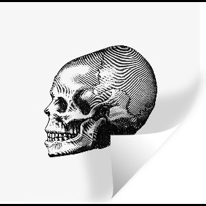 Muurstickers - Sticker Folie - Vintage - Schedel - Retro - 80x80 cm - Plakfolie - Muurstickers Kinderkamer - Zelfklevend Behang - Zelfklevend behangpapier - Stickerfolie
