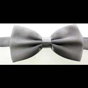 Zijden Vlinderdas Strik Zilver