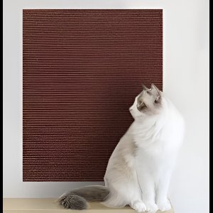 katten krabmat - Bescherming van meubels - Voor banken en stoelen - Krabbescherming 40x100cm Bruin