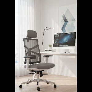 Premium Ergonomische Bureaustoel met Adaptieve Rugleuning, 4D Armleuningen, Verstelbare Zitdiepte, Lendensteun en 2D Hoofdsteun – Hoge Rugleuning Computerstoel – Depauwwonen