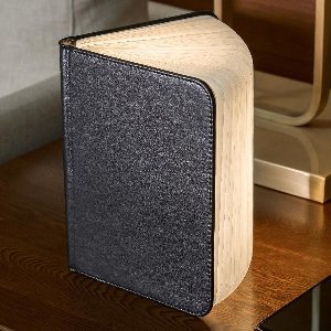 Gingko Mini Smart LED Book Light Black Leather