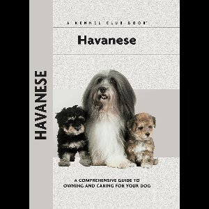 Havanese