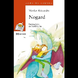 INFANTIL E XUVENIL - SOPA DE LIBROS E-book - Nogard