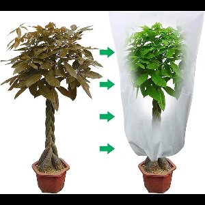 DolasoVorsthoes voor planten plant vorstbeschermer herbruikbare fruit groenten boombedekking met trekkoord -80-100 cm