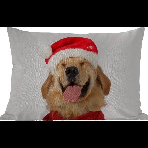 Buitenkussens - Tuin - Grappig glimlachende hond - 50x30 cm