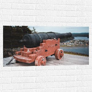 WallClassics - Muursticker - Groot Kanon bij Bomen - 100x50 cm Foto op Muursticker
