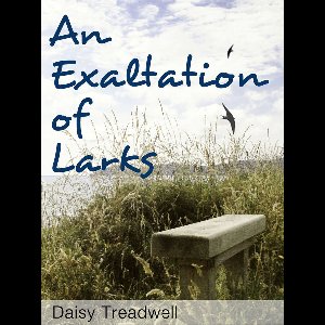 An Exaltation of Larks