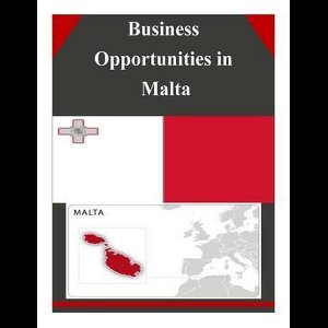 Business Opportunities- Business Opportunities in Malta