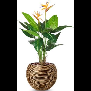 Kunstplant Strelitzia in Vaas bol Rib H120 cm