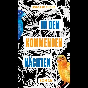 In den kommenden Nächten