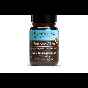 Liposomale Bamboe Silica