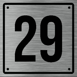 Huisnummerbord 29 - Incl. Schroeven en Pluggen – Acrylaat - 10 x 10 cm - RVS met Zwart