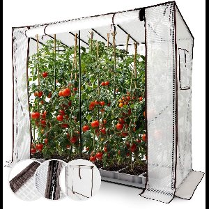 AREBOS Tomatenkas foliekas, kas met deur koelcel,tuin kasfolie 200cm met venster