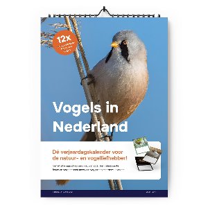 Verjaardagskalender - Vogels in Nederland - A4