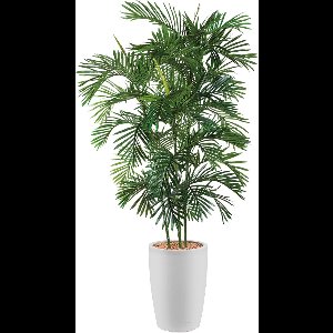 HTT - Kunstplant Areca palm in Genesis rond wit H190 cm