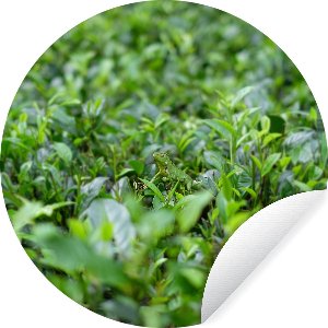 WallCircle - Muurstickers - Behangcirkel - Groene planten op ondergrond van tropisch gebied - ⌀ 30 cm - Muurcirkel - Zelfklevend - Ronde Behangsticker