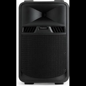 Audiophony sr12p - passieve luidspreker