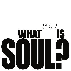 What Is Soul?