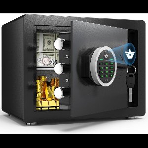 DailySupplies® Kluis met Vingerafdruk - Brandwerend - Safe met Noodsleutel - Zwart