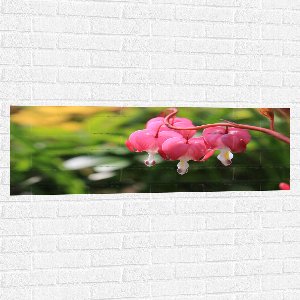 WallClassics - Muursticker - Gebroken Hartjes Plant in het Roze - 120x40 cm Foto op Muursticker
