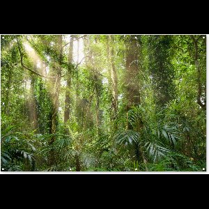 Muurdecoratie Licht in het woud - 180x120 cm - Tuinposter - Tuindoek - Buitenposter