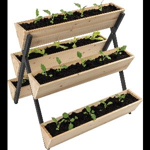 TERRA GARDEN - Plantenbak voor Binnen en Buiten - Kweekbak Planten - Moestuin - Plantenrek - 75 x 76,5 x 77,5