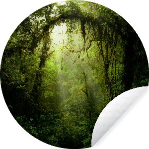 WallCircle - Muurstickers - Behangcirkel - Groen getinte afbeelding van het regenwoud van Costa Rica - 50x50 cm - Muurcirkel - Zelfklevend - Ronde Behangsticker