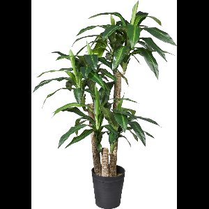 Kunstplant Dracaena Fragans H135cm - HTT Decorations kunstplanten