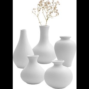 House of Husk Keramieke Vazen Set Klein - 5 Stuks - Bloemenvaas - Mini Bolvaasjes - Decoratieve Woonaccessoires - Wit