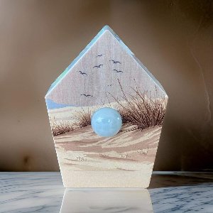 Solacis Vogelhuisje met geluid - Vogelgeluiden huisje voor op toilet - Geluid voor op WC - Vogelgeluiden huisje - Must have voor op uw toilet!