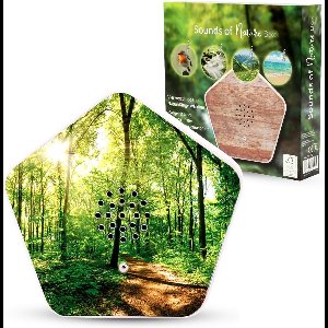 Solacis Vogelhuisje met geluid - Vogelgeluiden huisje voor op toilet - Geluid voor op WC - Vogelgeluiden huisje - Must have voor op uw toilet!