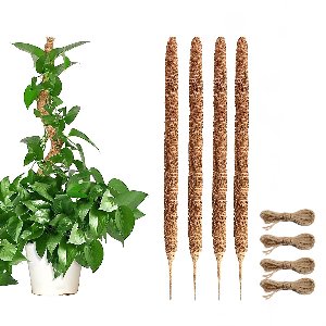 JustValue Mosstok voor Planten - 4x50cm - Plantensteun - Plantenstok - Mosstokken Kamerplanten - Incl. 4 Juten Touw - Voor Monstera - Pothos - Klimplanten
