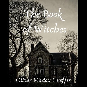 The book of witches
