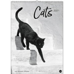 Cats Kalender 2021 - zwart/wit
