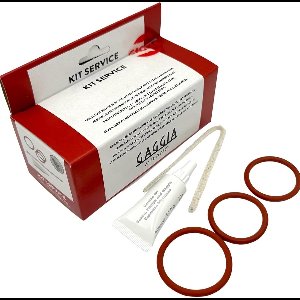 Set afdichtingen, vetreiniger voor Philips/Saeco/Gaggia koffiemachines, onderhoudskit