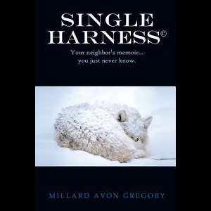 Title Single Harness(c)