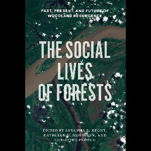The Social Lives of Forests