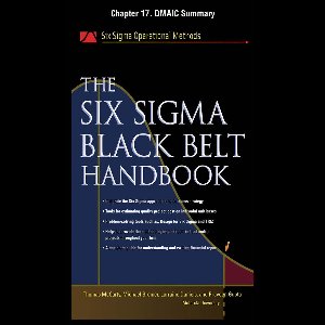 The Six Sigma Black Belt Handbook, Chapter 17 - DMAIC Summary