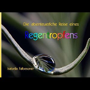 Die abenteuerliche Reise eines Regentropfens