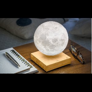 Gingko - Smart Moon Lamp - hout witte es