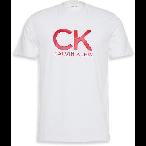 Calvin Klein Jeans (PVH Group) - Heren - T-shirts