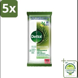 5 x Dettol Reinigingsdoekjes Tru Clean Eucalyptus & Lime 48 stuks per verpakking - Grootverpakking - Schoonmaakdoekjes - Multi Reinigingsdoekjes - Biologisch Afbreekbare Doekjes - Eucalyptus Geur - Limoen Geur